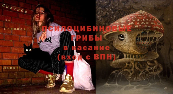 герыч Верхний Тагил