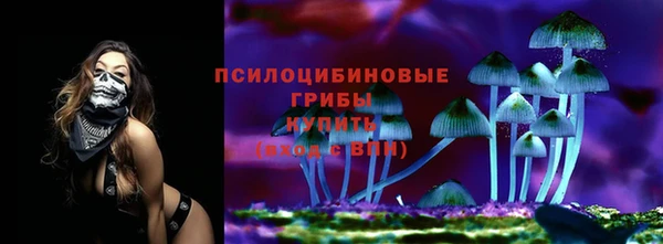гидропоника Верхнеуральск