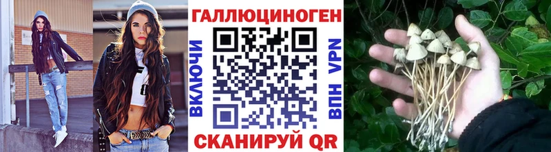 OMG   Княгинино  Галлюциногенные грибы ЛСД 